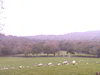 Sun 2nd November 2008