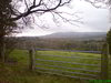 Sun 2nd November 2008
