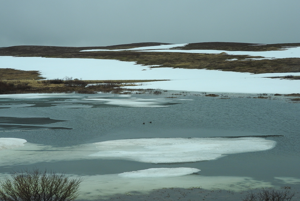 Norway - Day 10